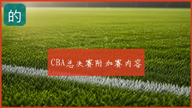 CBA总决赛附加赛内容